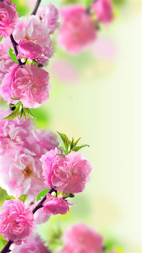 Download Free Mobile Phone Wallpaper Spring - 2777 - MobileSMSPK.net