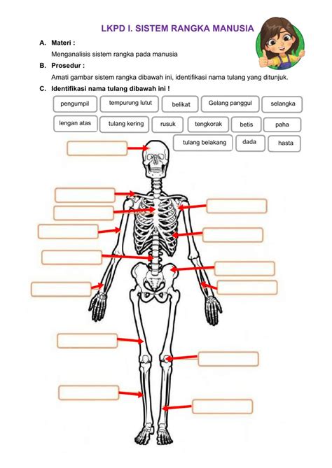 Check spelling or type a new query. Gambar Sistem Rangka
