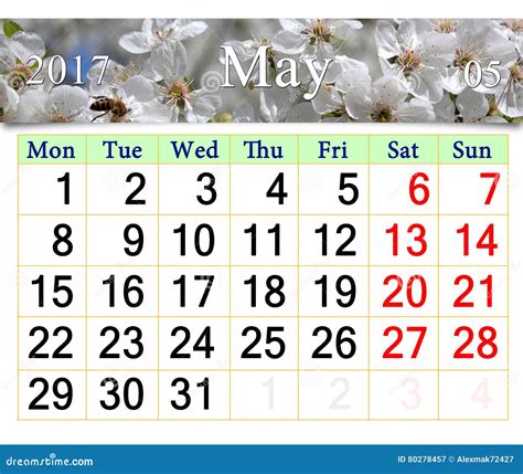 Calendar För Maj 2017 Med Det Blommande Körsbärsröda Trädet