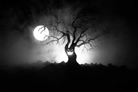 Silhouette Of Scary Halloween Tree With Horror Face On Dark Foggy Toned