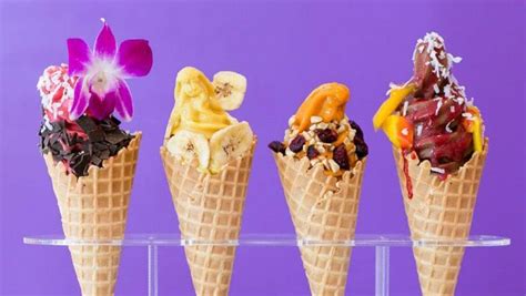 News Frozen Fruit Co Serves Up All Fruit Ice “cream” For The Masses