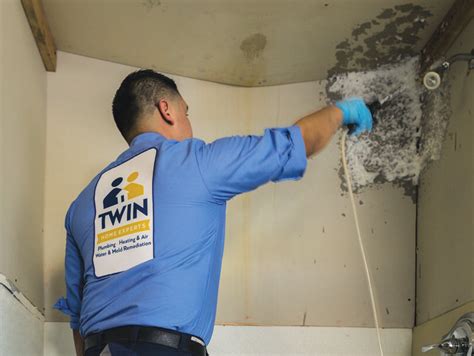 Illinois renters experience mold infested homes quite a bit, which is why it's important to know how to handle it before it happens. Free Mold Inspections in Los Angeles | Twin Home Experts