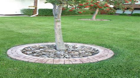 Landscape Edging Ideas Around Trees Landscaping Around Trees Landscaping Around House Front