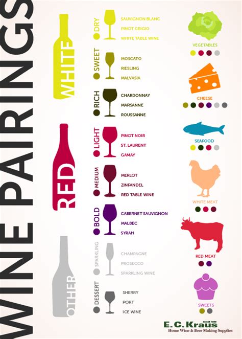 A Concise Guide To Wine And Food Pairing Zeda Magazine