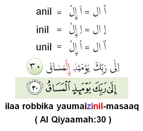 Pada kalimat di atas kata yang bertindak contoh di atas bisa dikatakan sebuah kalimat karena memiliki dua unsur pembentuk kalimat yakni. KLIPING ONLINE: ILMU TAJWID