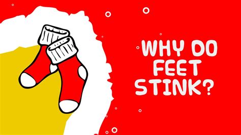 Why Do Feet Stink Foot Facts For Kids Youtube