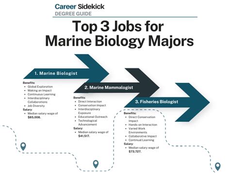 Top 15 Marine Biology Degree Jobs Career Sidekick