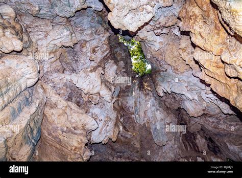 Limestone Cave Natural Rock Formations Close Up View At Baratang Island