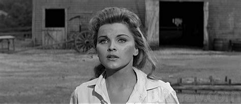 So lucky am i to have the only love for me to bind. 'Love Me Tender' - 2013 Blu-ray review - EIN review