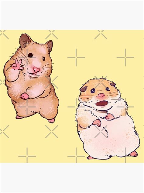 My Double Pack Of Hamster Memes Peace Sign And Screaming Funny