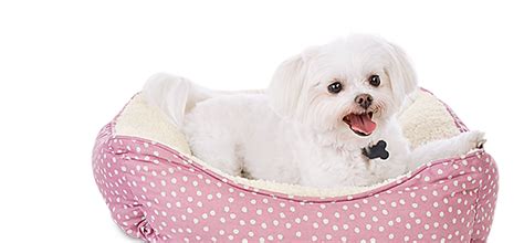 pet beds