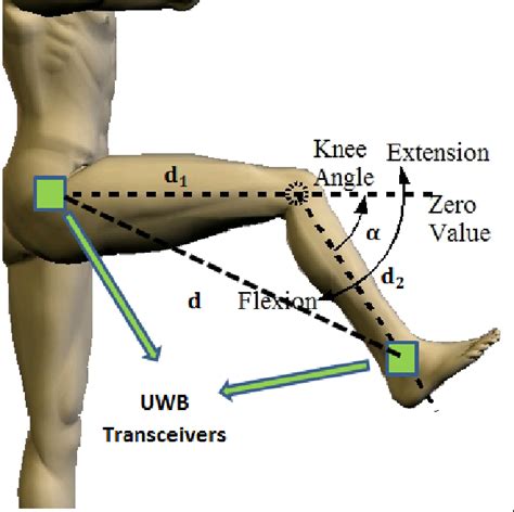 Figure 1 From Measurement Of Knee Flexionextension Angle Using