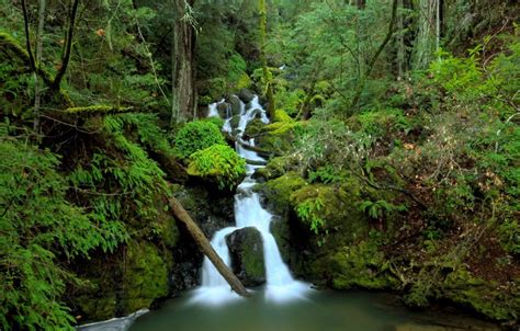 Maybe you would like to learn more about one of these? Bay Area hiking trails | Waterfall hikes, Waterfall ...