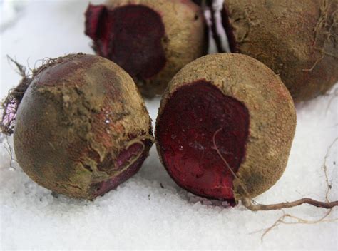 Scrub them thoroughly with a vegetable brush and pat them dry just before peeling if using beets raw, remove the skin with a vegetable peeler. How To Prepare Beets + A Beet Salad Recipe | The Wannabe Chef