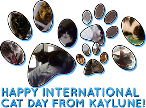 Kaylunes Official Blog — Happy International Cat Day From Our Cat