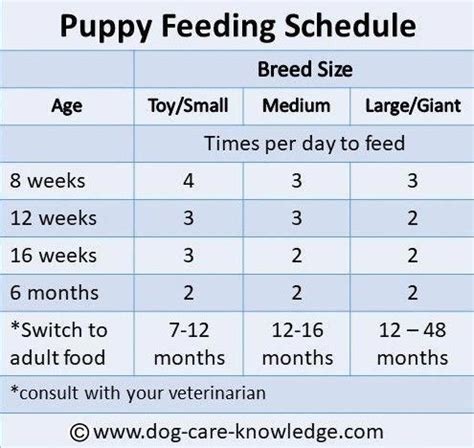 But what should you do when your dog begins eating solid food and drinking water? Save this puppy feeding schedule as a guide of how often to feed your puppy and when to switch ...