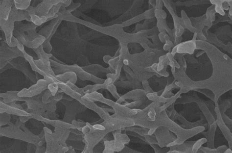 Fachartikel, fachpublikationen und wissenschaftliche papers aus den journals der branche: HFChow Research Click Chemistry