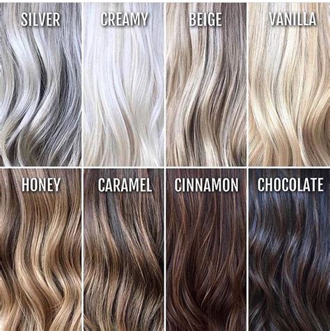 Hair Color Wheel Brown Hair Color Chart Grey Hair Color Hair Dye