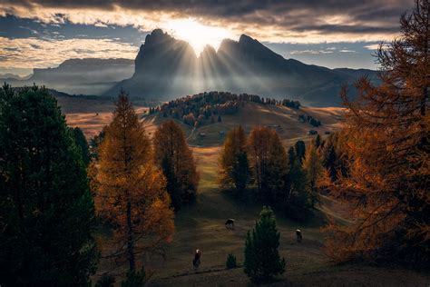 Dolomites Mountains Nature Fall Clouds Animals