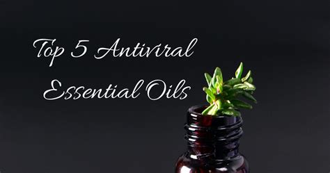 My Top 5 Antiviral Essential Oils By Kristen Abram Medium