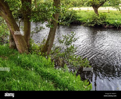 The River Nidd Along The Nidderdale Way Between Wath And Pateley Bridge