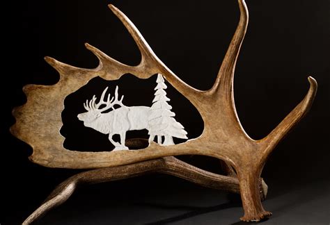 Moose Antler Carvings ‹ Forever Wild