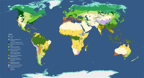 Freshwater Biomes Climate Locations Plants And Animals
