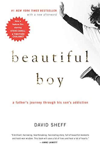 Beautiful Boy A Father S Journey Through His Son S Addiction Sheff David