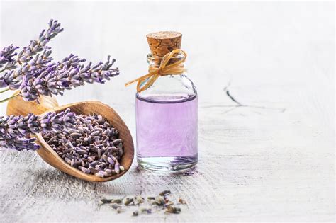 11 Incredible Benefits Of Lavender Essential Oil