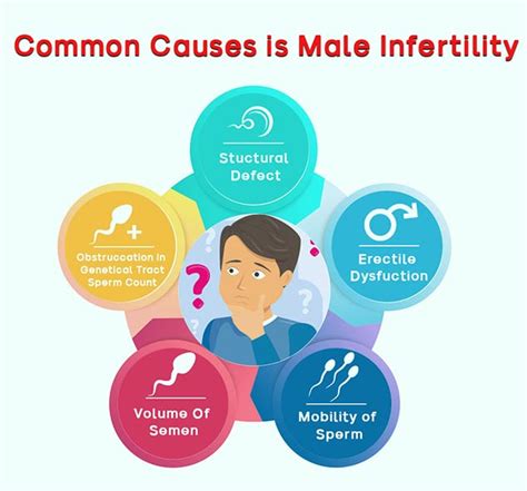 Secondary Infertility In Males What Is It Triggers And Tips To Manage
