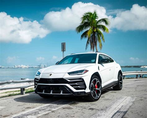 2019 Lamborghini Urus White Mvp Miami Exotic Rentals