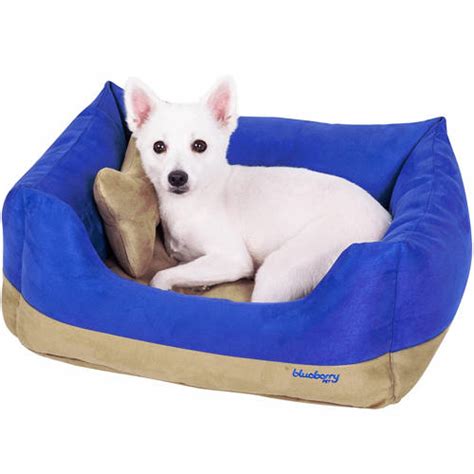 Best Dog Beds For Small Dogs In 2020