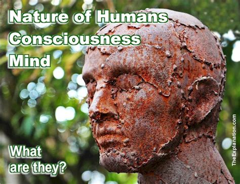 Nature Of Humans Consciousness Mind Reveal Adroit Humans