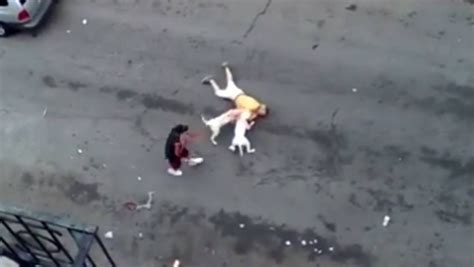 Homem é atacado por pit bulls em rua nos Estados Unidos vídeo