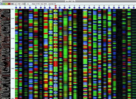 Measuring Stick Standard For Gene Sequencing Now