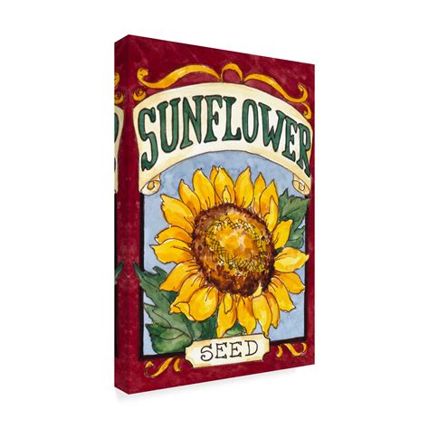 Trademark Fine Art Large Sunflower Seed Packet Canvas Art By Barbara