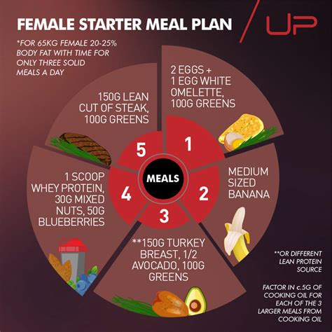 the menstrual cycle nutrition training and fat loss