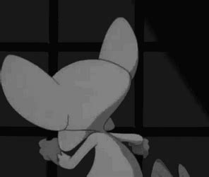 Pinky And The Brain Scientifically Accurate GIF GIFDB Com