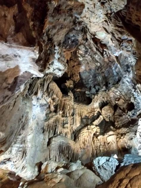 Shasta Lake Cave Tour
