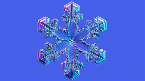 Bbc Earth One Man Has Spent 15 Years Photographing Snowflakes