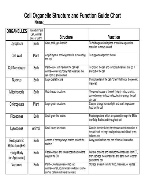 Organelle Function Chart Complete With Ease Airslate Signnow