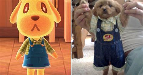 15 Dog Posts From This Week That Just Might Give You The Boost You Need