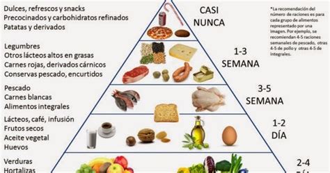Nutricionista Estudiar Plato Del Buen Comer En Ingles Sexiz Pix