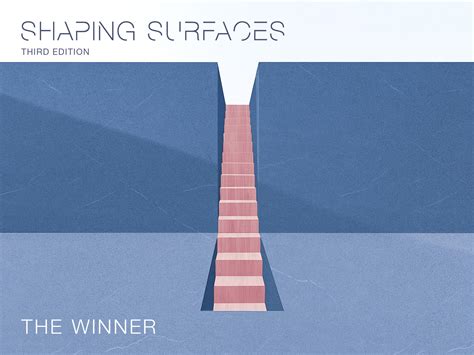 The Winner Shaping Surfaces Interior Design Competition