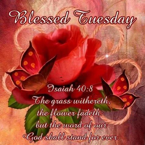 Blessed Tuesday Tuesday Morning Wishes Good Morning God Quotes Good
