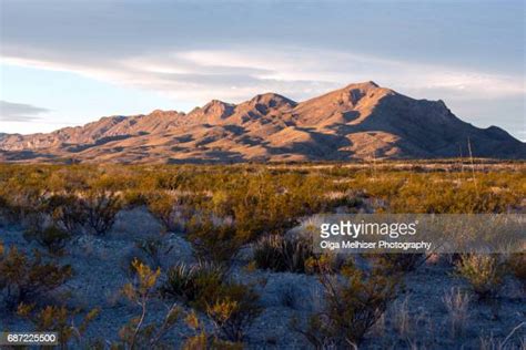 West Texas Desert Photos And Premium High Res Pictures Getty Images