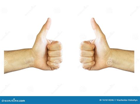 Thumb Up Like Finger Up Gesture Hand Gestures Isolated On White