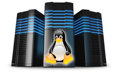 Collection of HQ Linux Hosting PNG. | PlusPNG
