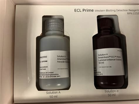 Sensitive And Easy To Use Ecl Kit For Western Blotting