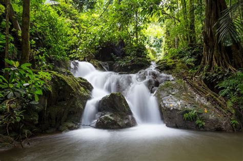 Based on our 20 years of experience and our unique hill tribe relationships, we have carefully created a variety of. Jungle Trekking in Thailand's Kanchanaburi Province